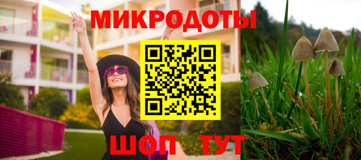 Псилоцибиновые грибы Cubensis Приморско-Ахтарск